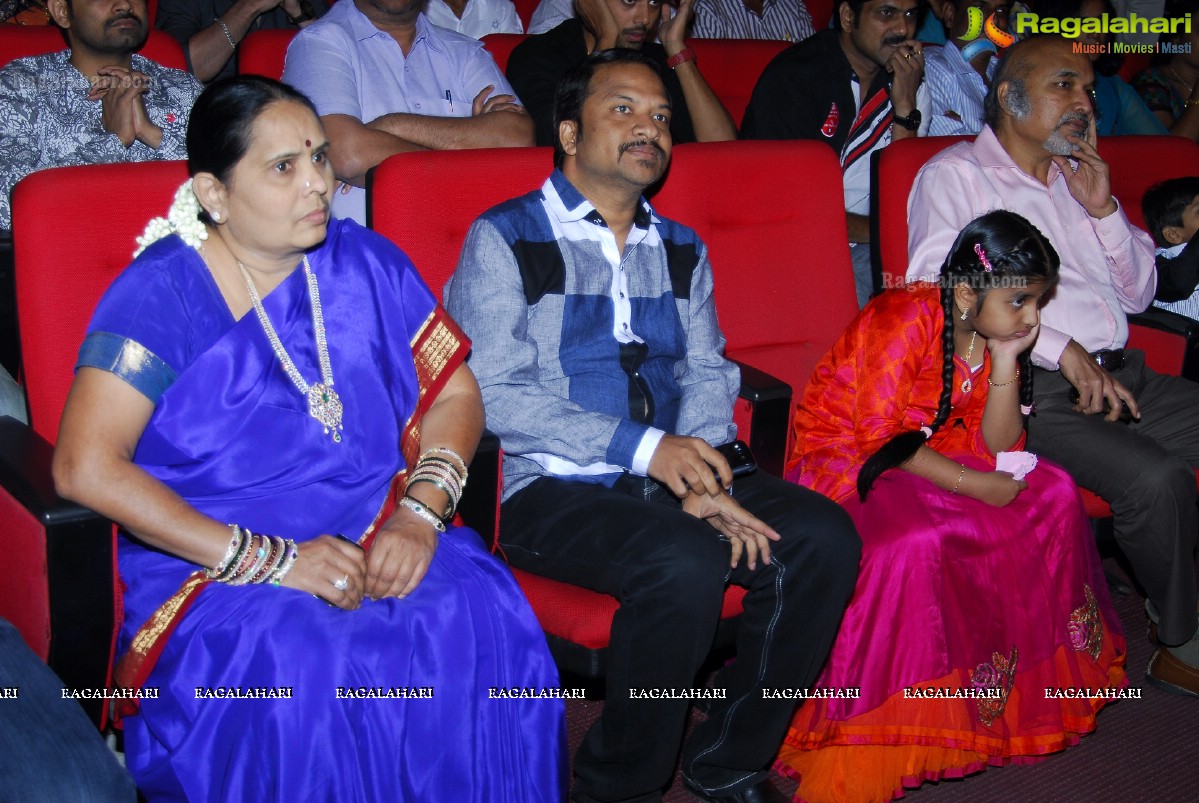 Big Telugu Entertainment Awards 2013