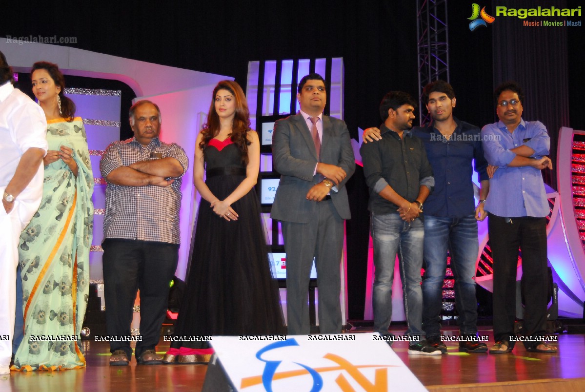 Big Telugu Entertainment Awards 2013