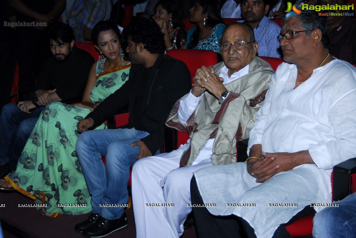 Big Telugu Entertainment Awards 2013