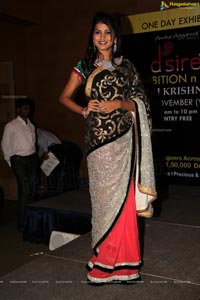 Curtain Raiser of Desire Designer Exhibition