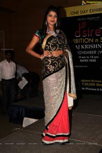 Curtain Raiser of Desire Designer Exhibition