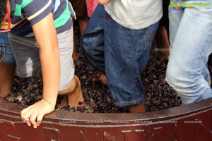 Grape Stomping @ The Square Hyderabad