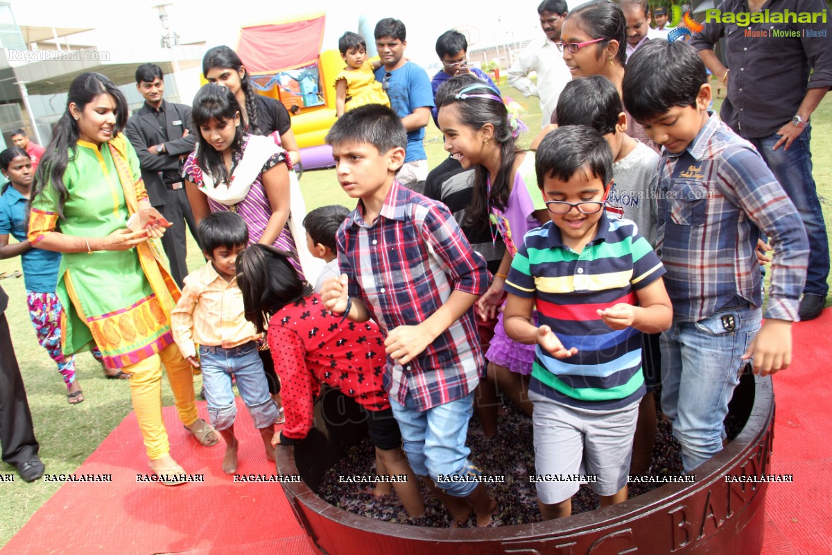 Grape Stomping at The Square, NHCC