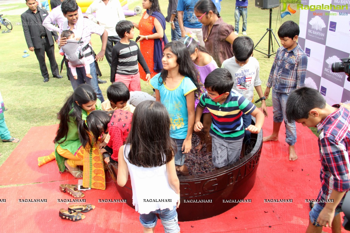 Grape Stomping at The Square, NHCC