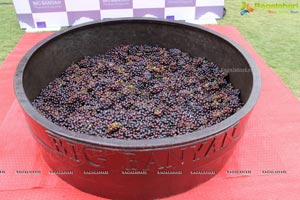 Grape Stomping @ The Square Hyderabad