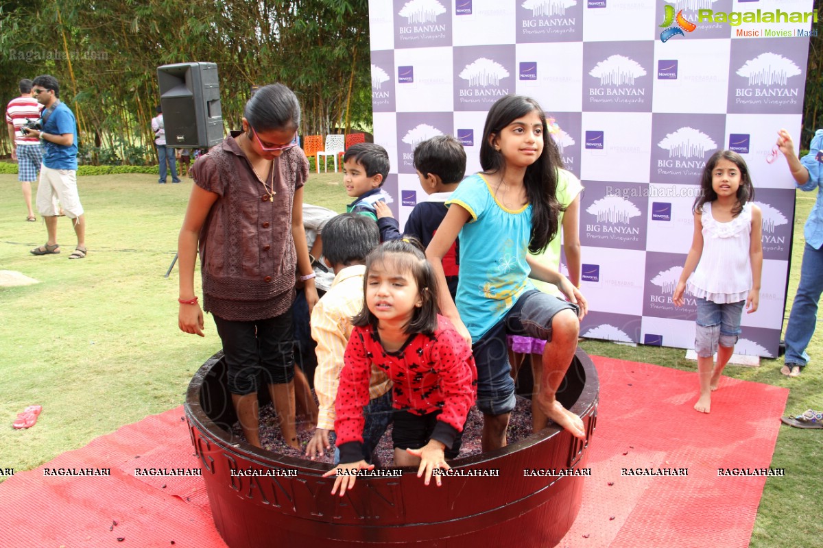 Grape Stomping at The Square, NHCC