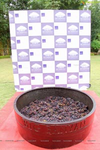 Grape Stomping @ The Square Hyderabad