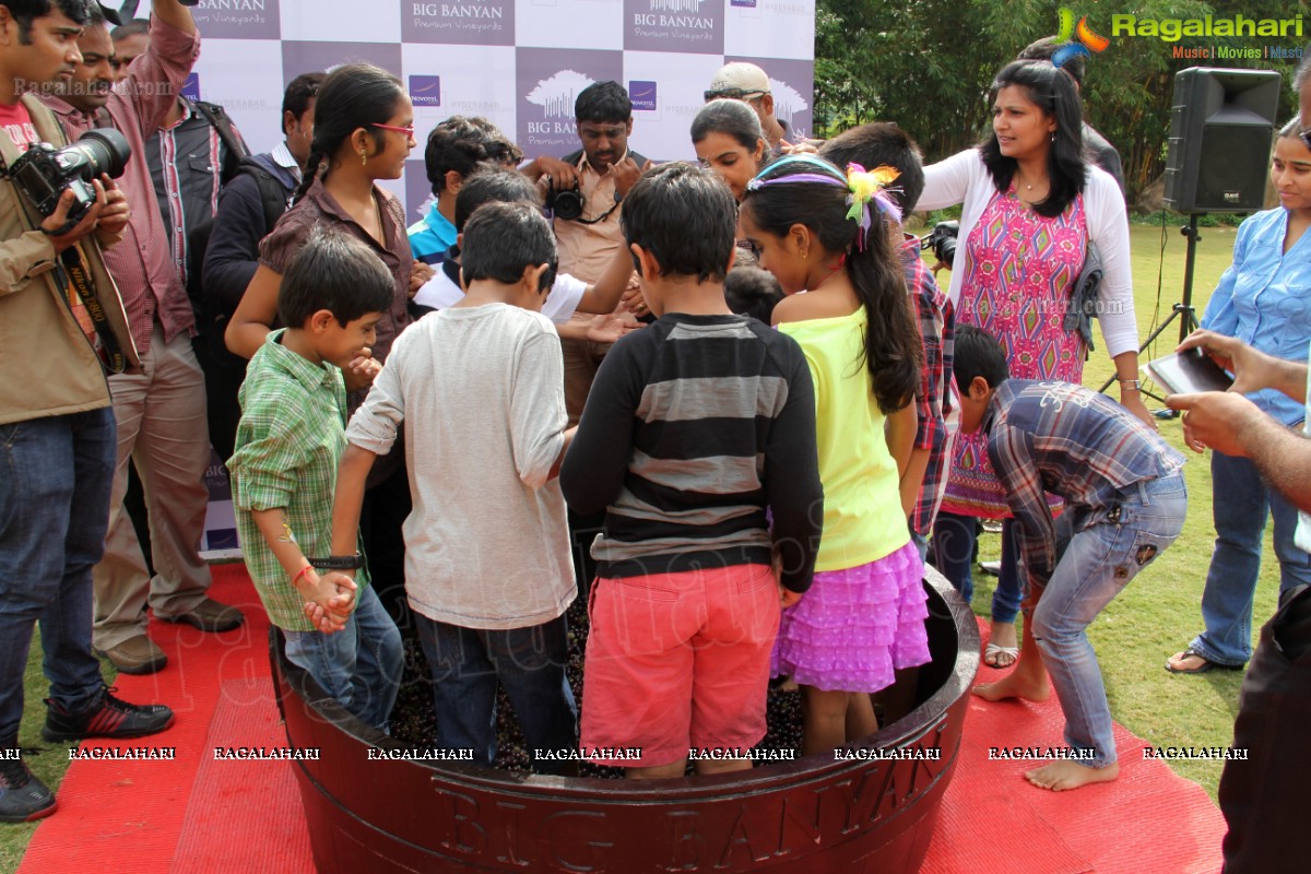 Grape Stomping at The Square, NHCC