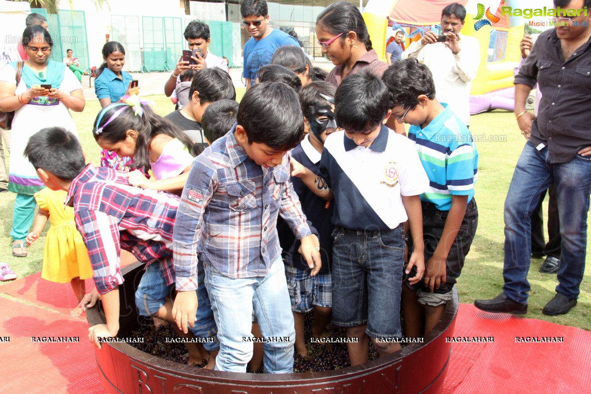 Grape Stomping at The Square, NHCC