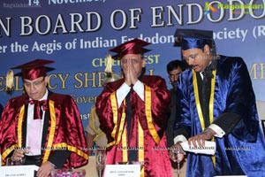 Indian Board of Endodontics