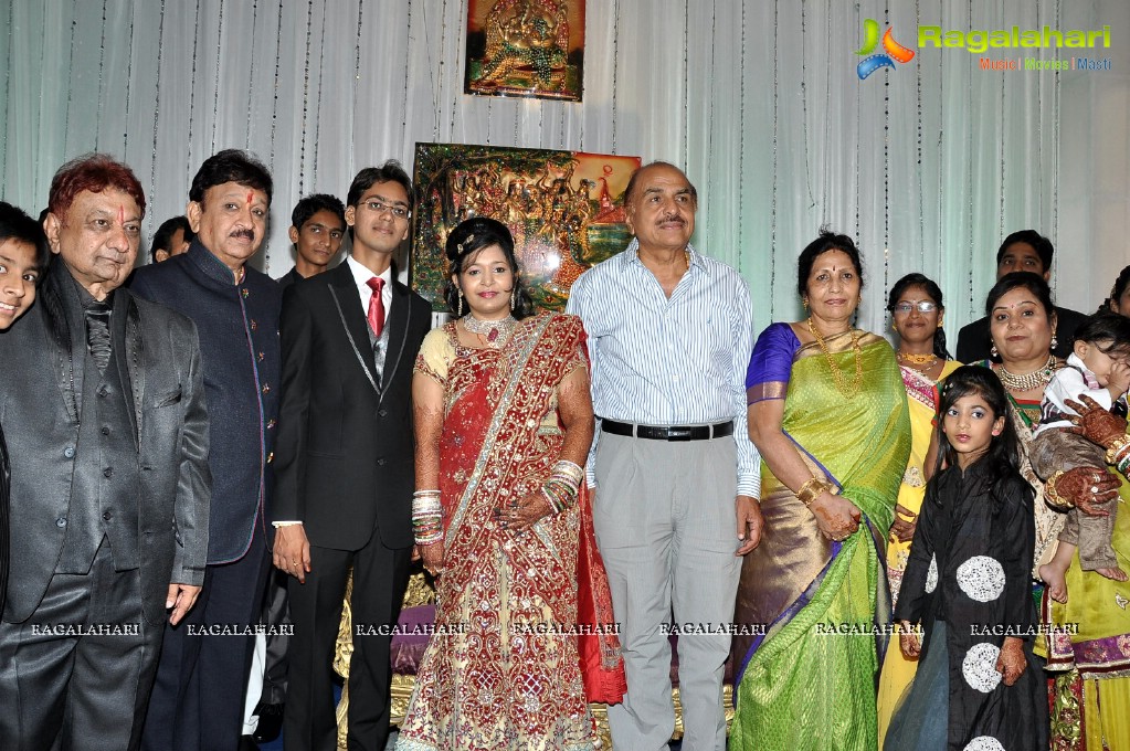 Producer Paras Jain's Daughter Layana Wedding