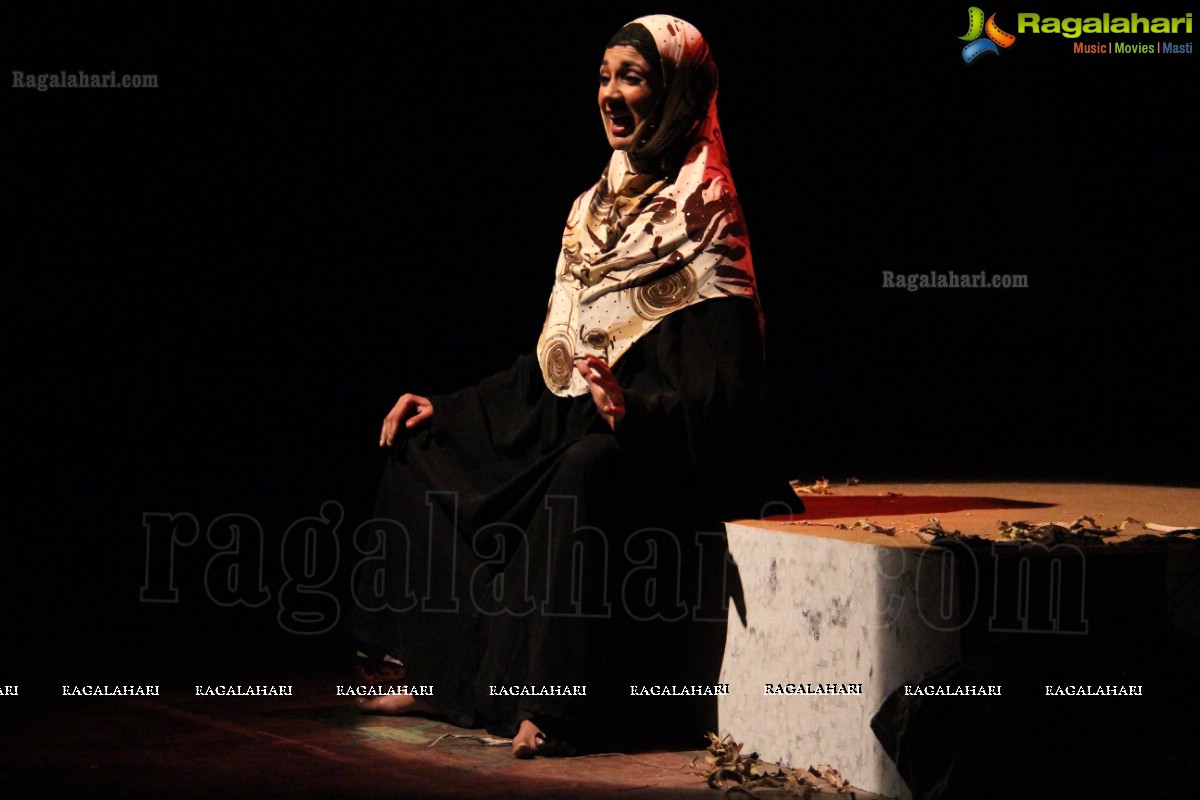 Qadir Ali Baig Theatre Festival 2013, Hyderabad