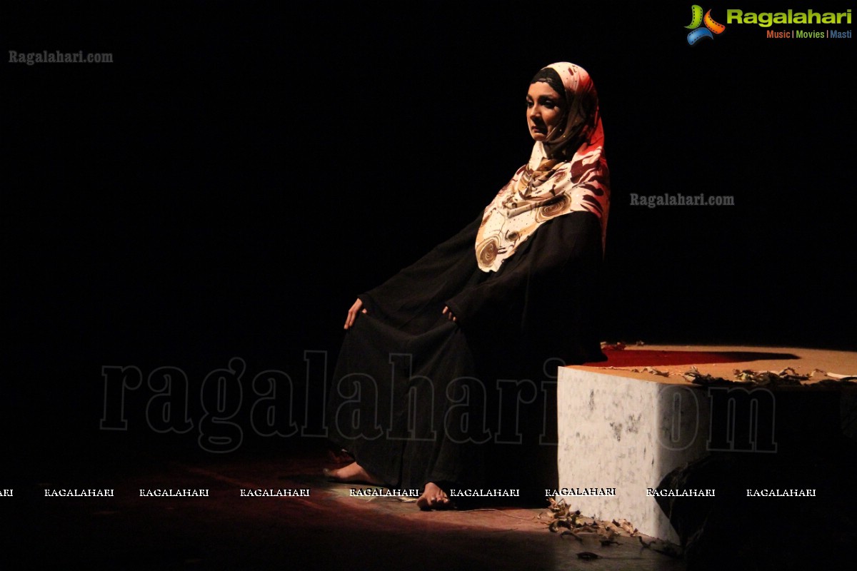 Qadir Ali Baig Theatre Festival 2013, Hyderabad