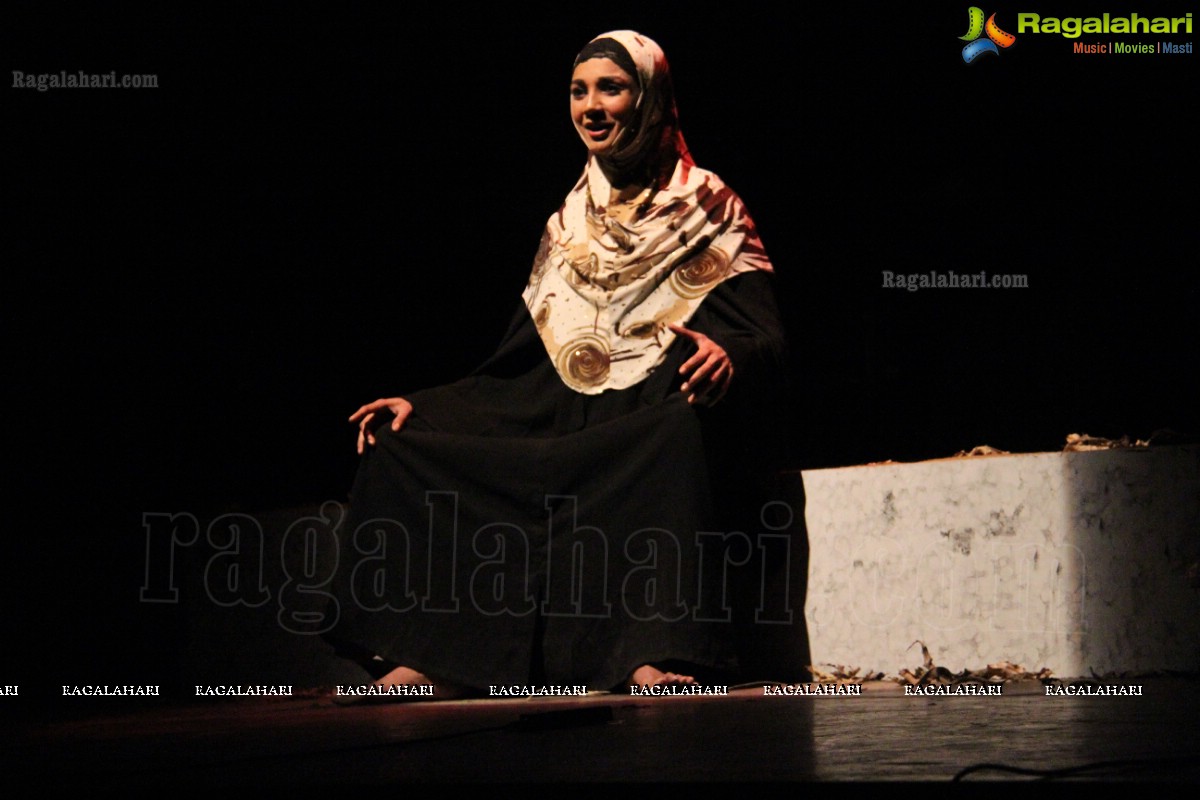 Qadir Ali Baig Theatre Festival 2013, Hyderabad