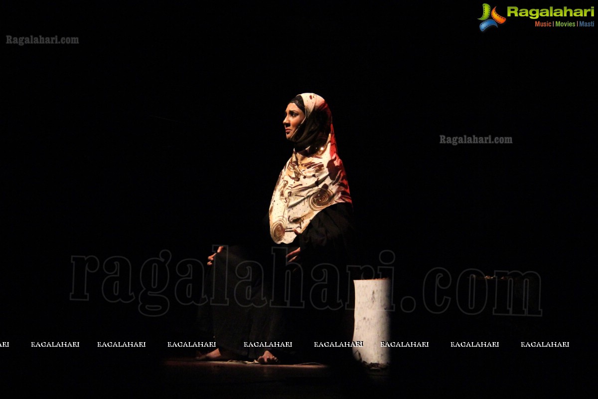 Qadir Ali Baig Theatre Festival 2013, Hyderabad