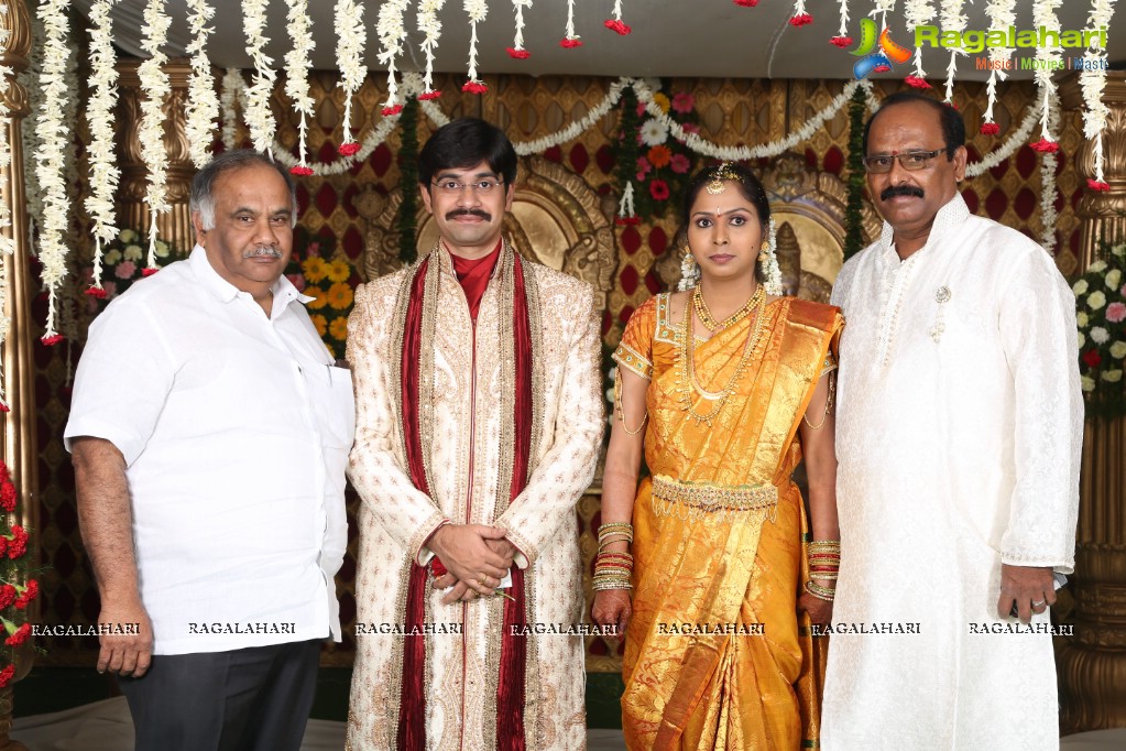 Rambabu Varma's Daughter Amani Sandhya Wedding