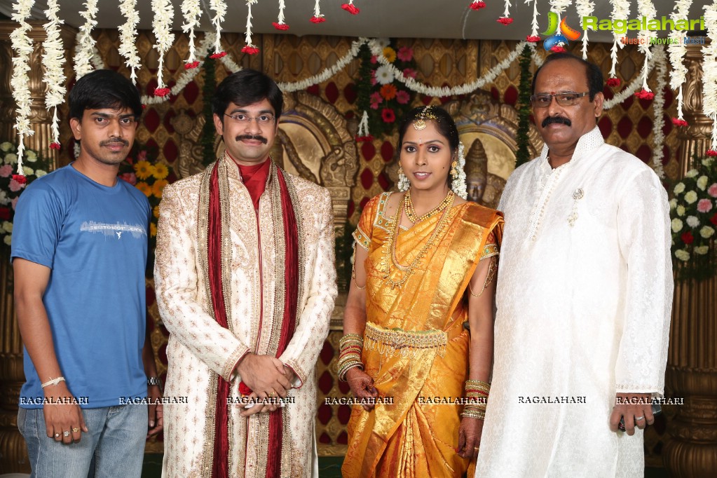 Rambabu Varma's Daughter Amani Sandhya Wedding