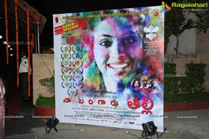 Naa Bangaru Thalli Audio Launch