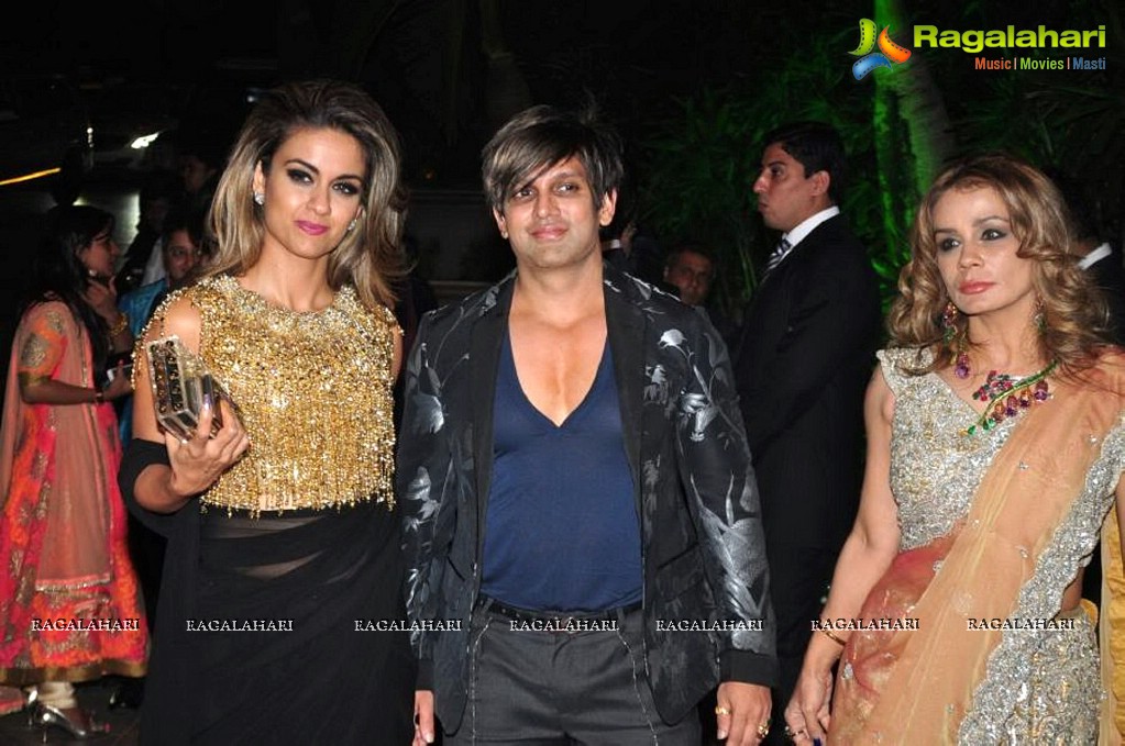 Celebs at Arpita Khan-Aayush Sharma Wedding Reception