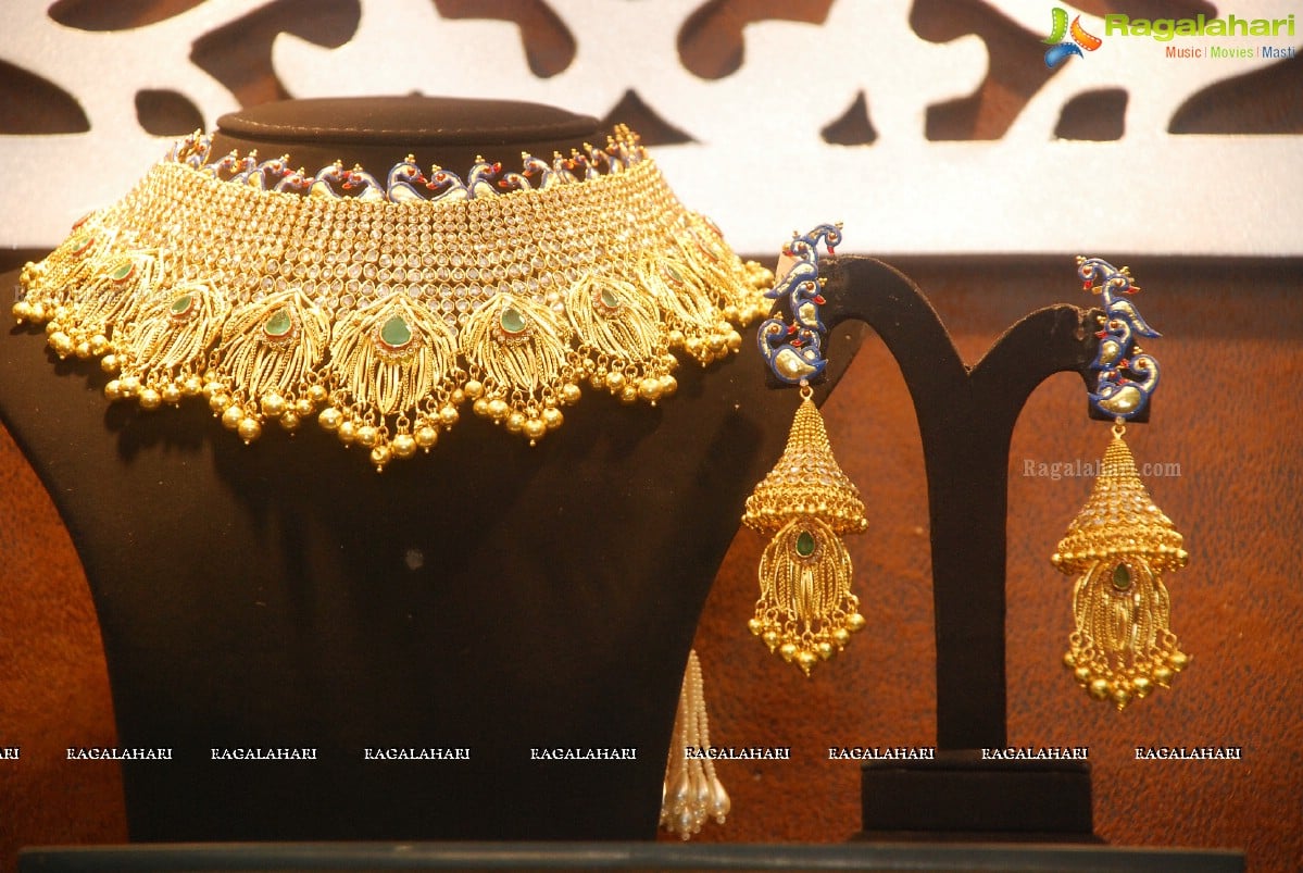 Malabar Gold and Diamonds 'Artistry' Show