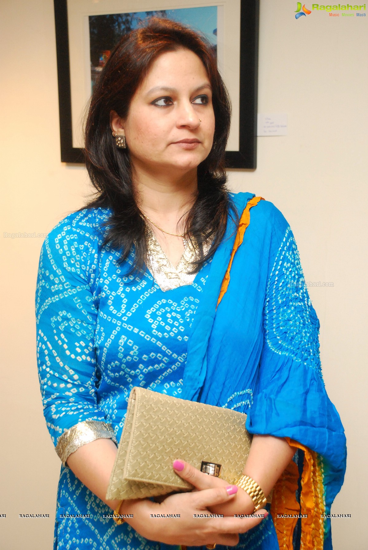 Metro Chronicles thru the Lenz at Muse Art Gallery, Hyderabad (Nov. 2, 2014)