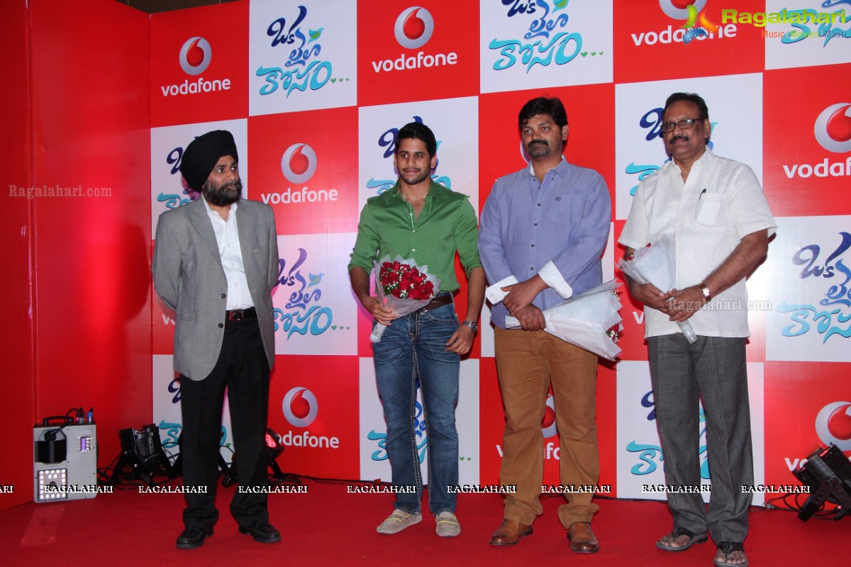 Vodafone Meet and Greet with Naga Chaitanya