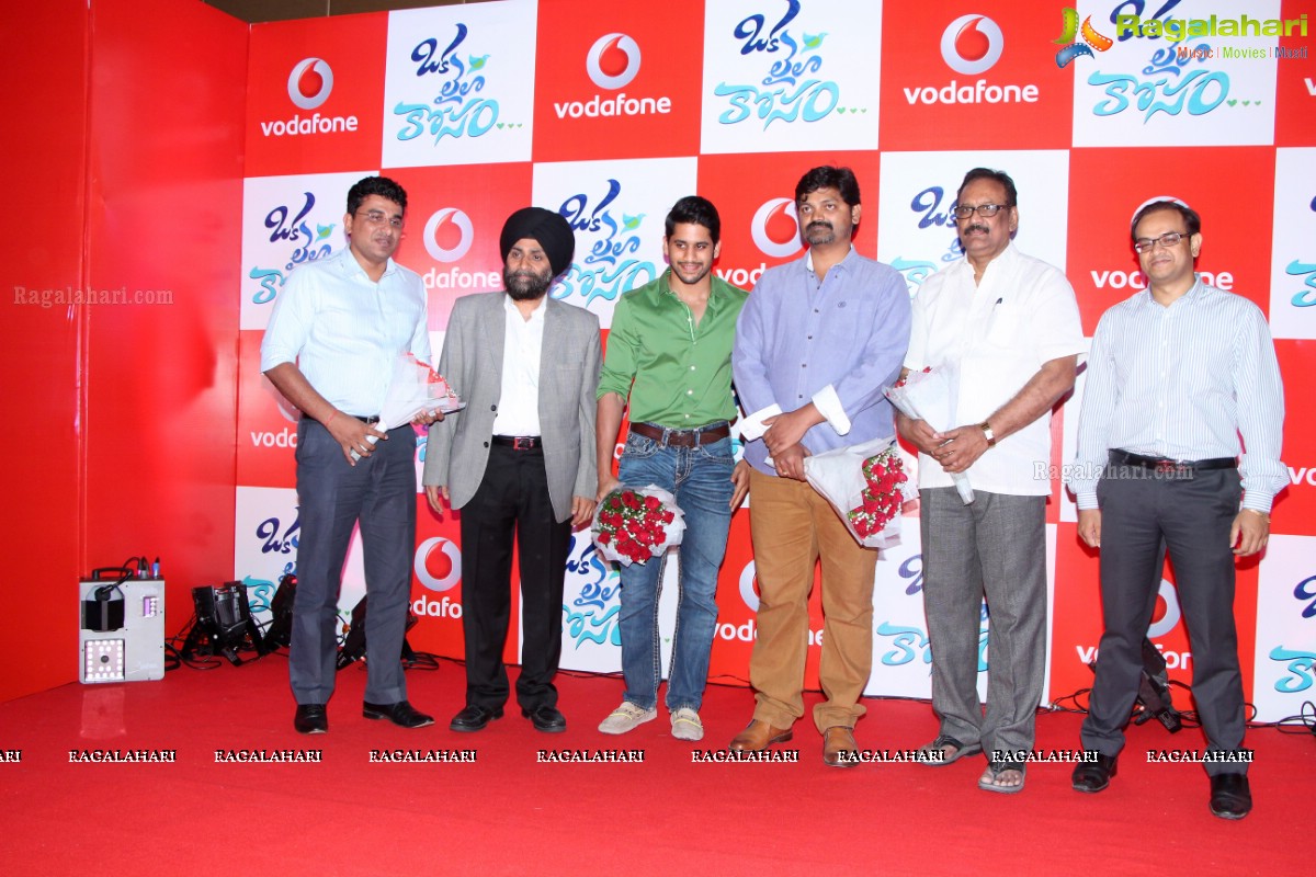 Vodafone Meet and Greet with Naga Chaitanya