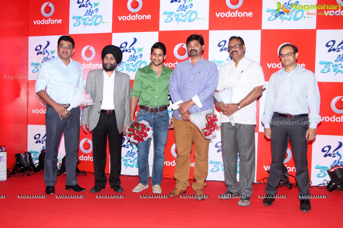 Vodafone Meet and Greet with Naga Chaitanya