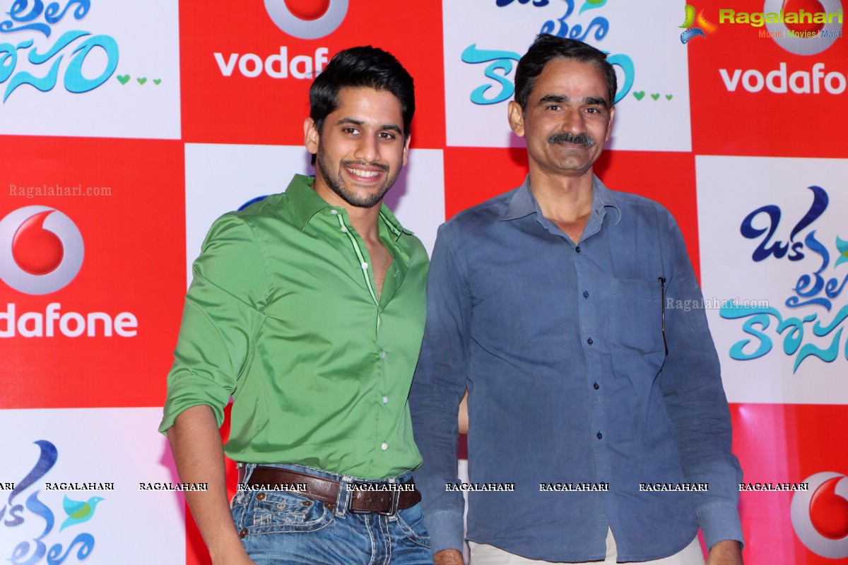 Vodafone Meet and Greet with Naga Chaitanya