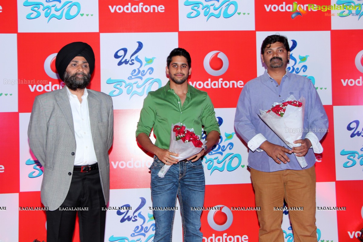 Vodafone Meet and Greet with Naga Chaitanya