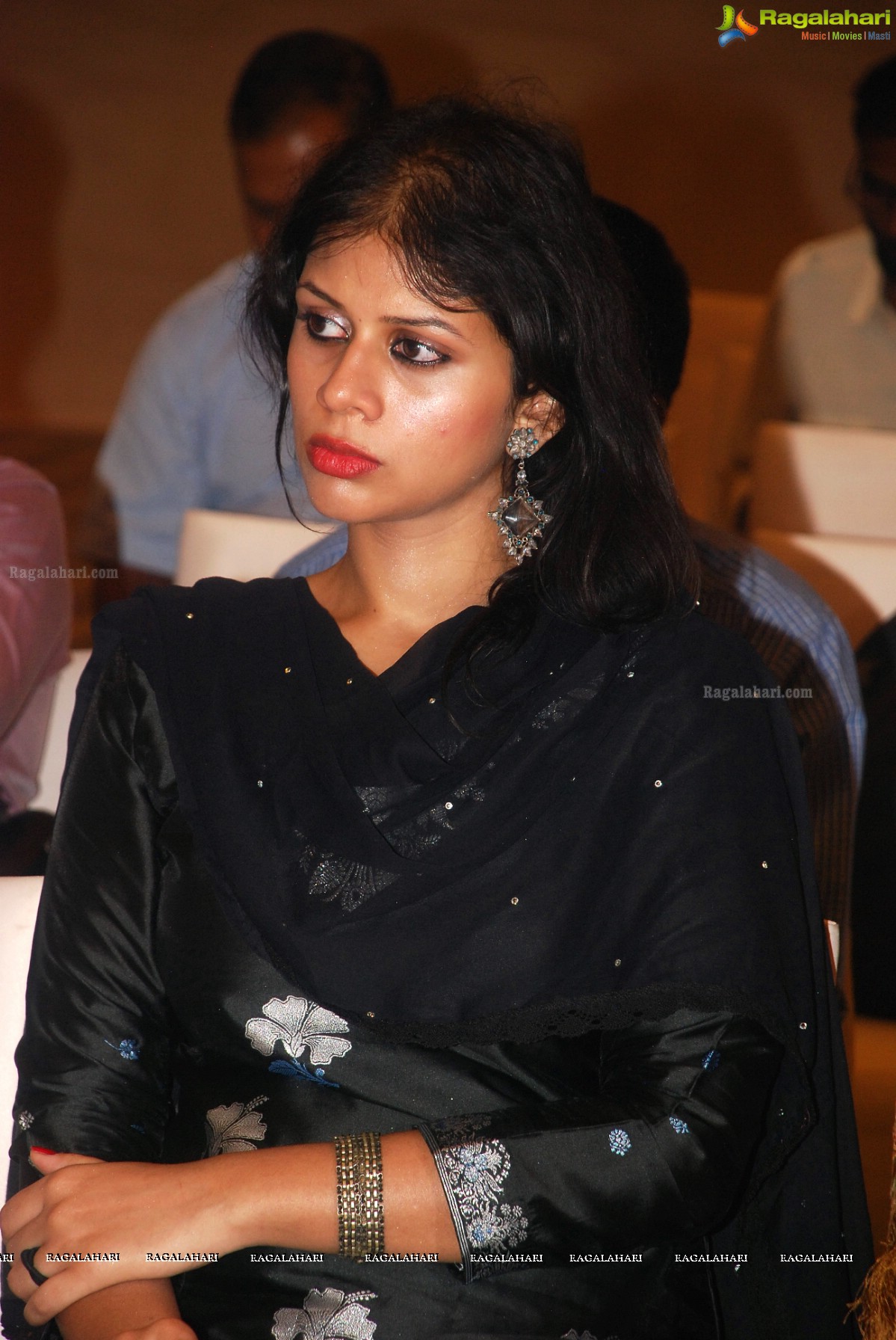 Qadir Ali Baig Theatre Festival Press Meet (Nov 2014), Hyderabad