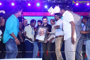 Akhil Platinum Disc