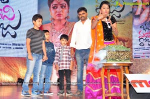 Bhale Manchi Roju Audio Release