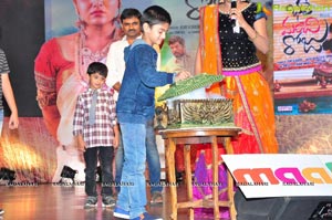 Bhale Manchi Roju Audio Release