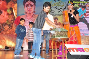 Bhale Manchi Roju Audio Release