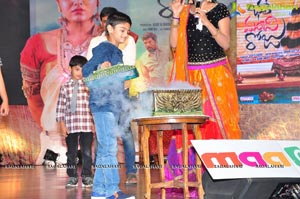 Bhale Manchi Roju Audio Release