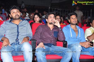 Bhale Manchi Roju Audio Release