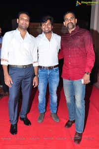 Bhale Manchi Roju Audio Release