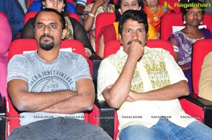 Bhale Manchi Roju Audio Release