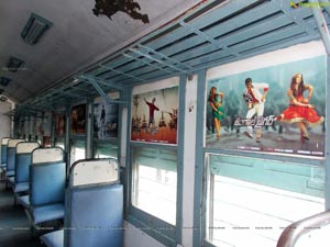 Bengal Tiger Train Branding Photos