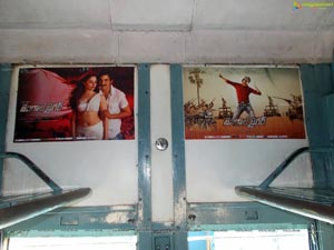 Bengal Tiger Train Branding Photos