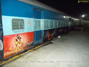 Bengal Tiger Train Branding Photos