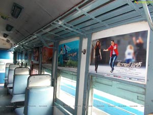 Bengal Tiger Train Branding Photos