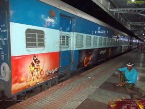 Bengal Tiger Train Branding Photos