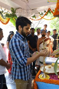 Akkineni Naga Chaitanya-Shruti Haasan