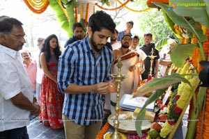 Akkineni Naga Chaitanya-Shruti Haasan