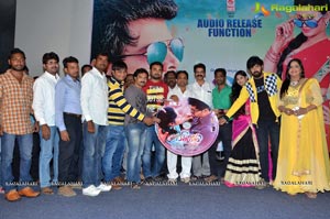 Dil Unna Raju Audio Release