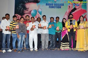 Dil Unna Raju Audio Release