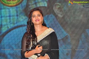 Size Zero Audio Release