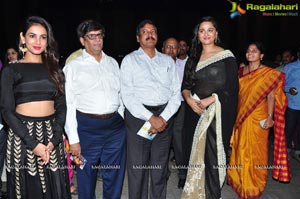 Size Zero Audio Release